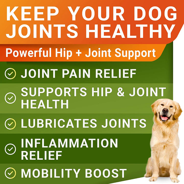 Glucosamine Treats for Dogs - Joint Supplement W/Omega-3 Fish Oil - Chondroitin, MSM - Advanced Mobility Chews - Joint Pain Relief - Hip & Joint Care - Chicken Flavor - 120 Ct - Made in USA