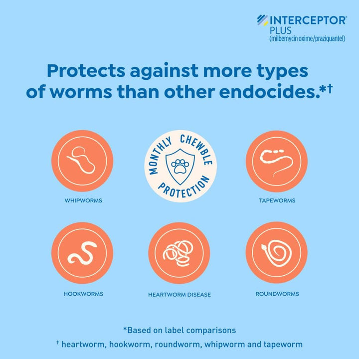 plus Prevention for Heartworm + 4 Other Worms for Dogs 50.1-100 Lbs. | 6 Chews, 6-Month Supply