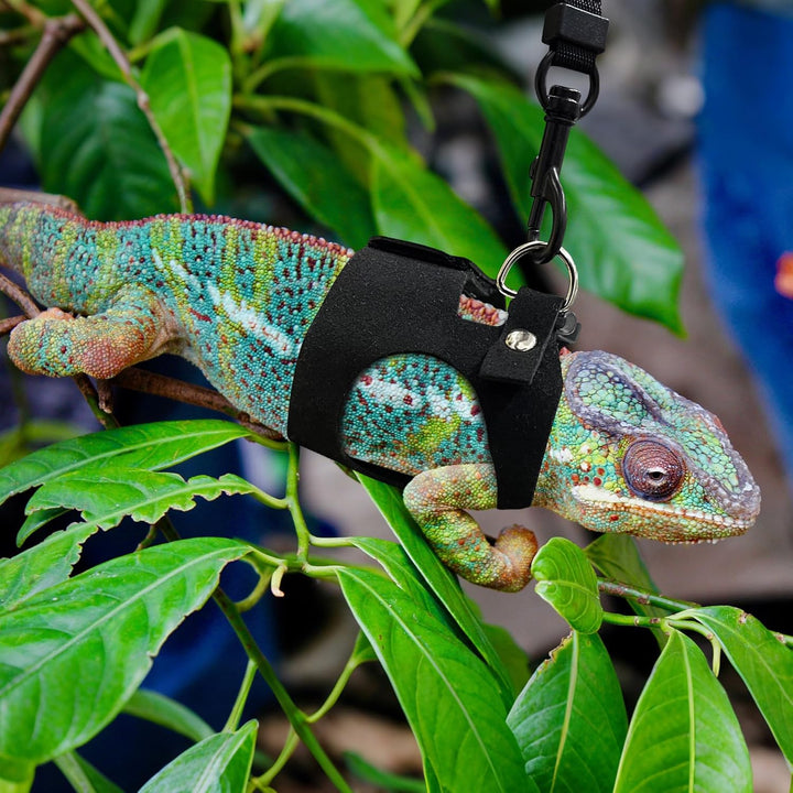 Bearded Dragon Harness and Leash Set, 3 Size Adjustable Soft Leather Reptile Leash, Lizard Harness with Retractable, Small Animal Outdoor Walking Vest with Traction Rope, 3 Pack, Black