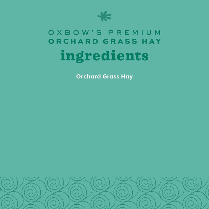 Orchard Grass Hay for Small Pets – All-Natural Long Strand Fiber Hay for Rabbits, Guinea Pigs, Chinchillas, and Hamsters – Supports Digestive Health and Enrichment – 40 Oz Bag