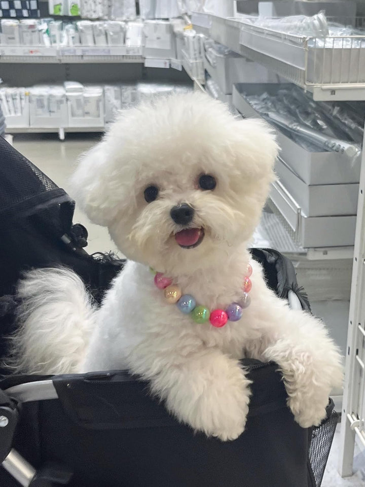 Dogs Necklace,Pet Fashion Necklace, Colorful Beaded Necklace,Pet Jewelry,Vibrant Candy-Colored Pet Jewelry Necklace for Cats and Dogs(12.6-14.57 Inches)