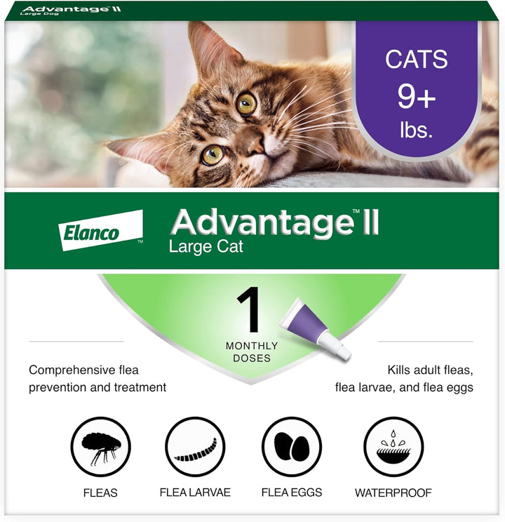 II Large Cat Vet-Recommended Flea Treatment & Prevention | Cats over 9 Lbs. | 6-Month Supply