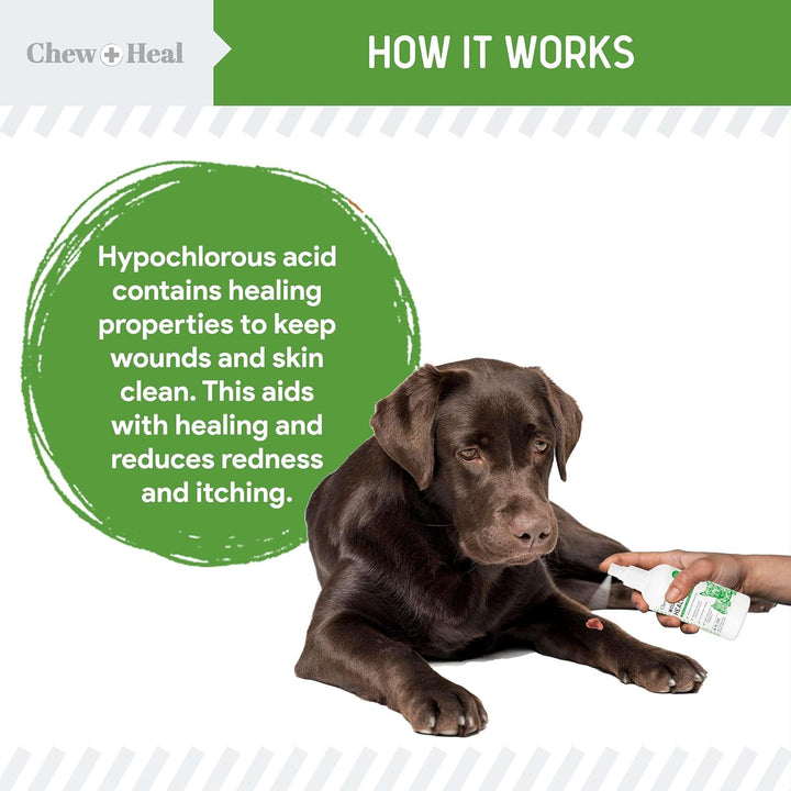 Hypochlorous Acid Spray for Dogs – 4Oz Dog Wound Spray for Cuts, Burns, Sores, Abrasions, and More – Non Toxic and Chemical Free HOCI Wound Care – Made in the USA