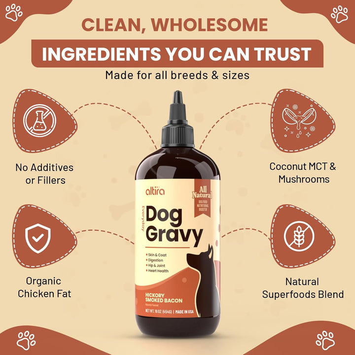 Everyday Dog Gravy Bacon – Premium Wet Dog Food Gravy Toppers for Dry Food – Tasty & Nutritious Dogs Gravy with Essential Vitamins and Supplements – Hip and Joint Supplement