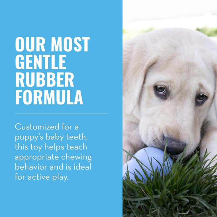 Puppy - Natural Teething Rubber Chew Toy for Dogs - Stuffable Dog Toy for Extended Playtime - Chew & Fetch Toy for Puppies - for Small Puppies - Blue