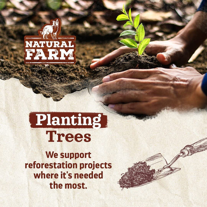 Odor-Free Bully Sticks (6 Inch, 25 Pack), 1.3 Lb. Bag, Fully Digestible 100% Beef Pizzle Chews, Grass-Fed, Non-Gmo, Grain-Free, Natural Long-Lasting Chews for Small & Large Dogs