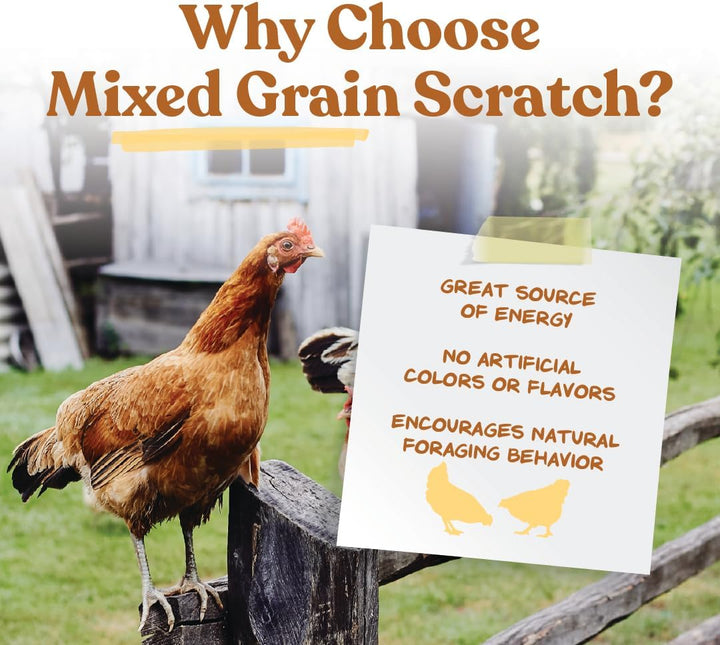 Ultimate Chicken Scratch Feed, Nutrient-Rich Scratch Grain Treat for Chickens and Poultry, Natural Multigrain Blend for Backyard Flocks and Laying Hens, Made in USA, 10 Lb Bag