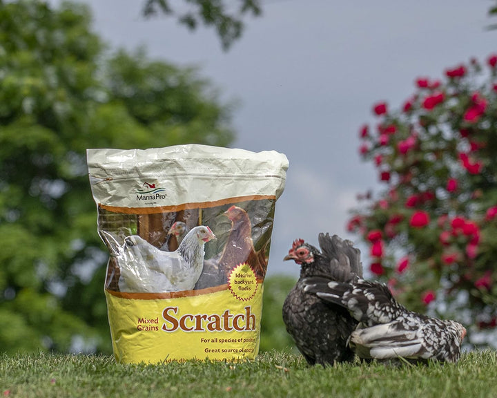 Ultimate Chicken Scratch Feed, Nutrient-Rich Scratch Grain Treat for Chickens and Poultry, Natural Multigrain Blend for Backyard Flocks and Laying Hens, Made in USA, 10 Lb Bag