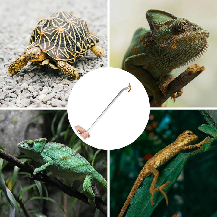 2PCS Long Aquarium Tweezers - 10.6" Straight and Curved Tweezers, Stainless Steel Reptile Feeding Tongs, Terrarium Aquascape Tools Feeder for Lizards, Bearded Dragon Snake Tank Accessories