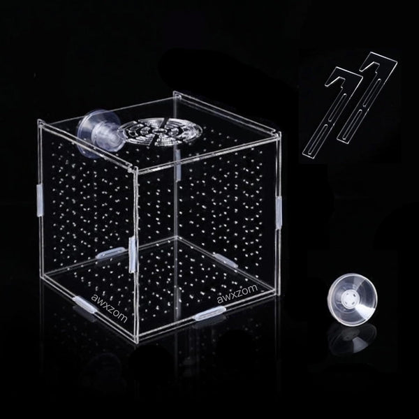 Acrylic Fish Breeding Box, Acrylic Fish Isolation Box, Fish Separator for Aquarium, Hatchery Incubator with Suction Cups for Small Baby Fishes Shrimp Clownfish Guppy (3.9 * 3.9 * 3.9Inch)