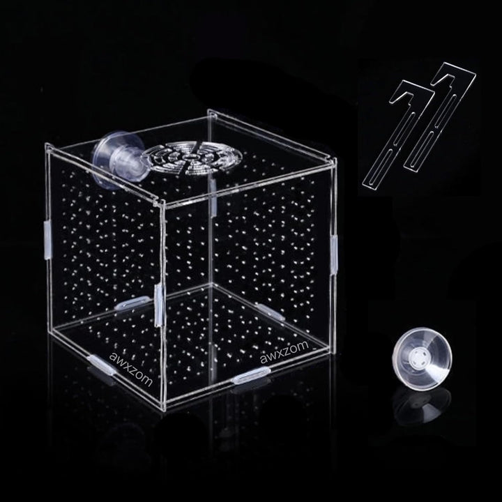 Acrylic Fish Breeding Box, Acrylic Fish Isolation Box, Fish Separator for Aquarium, Hatchery Incubator with Suction Cups for Small Baby Fishes Shrimp Clownfish Guppy (3.9 * 3.9 * 3.9Inch)