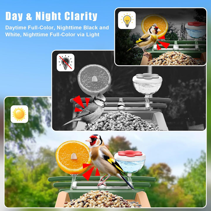 Smart Bird Feeder with Camera with AI Identify Birds Species & Solar Panel, Wifi Birdfeeder with Cam, 2K Live View, Chew-Proof & Waterproof Design, Real-Time App Alerts, Gift for Bird Lovers, Green