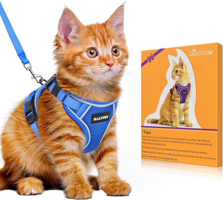 Cat Harness and Leash Set - MAX Safety 4Th-Gen Upgrade, Escape Proof, Adjustable, Comfortable Soft Vest, Easy to Wear Kitten Harness with Reflective Strip for Cats Walking - Small Black