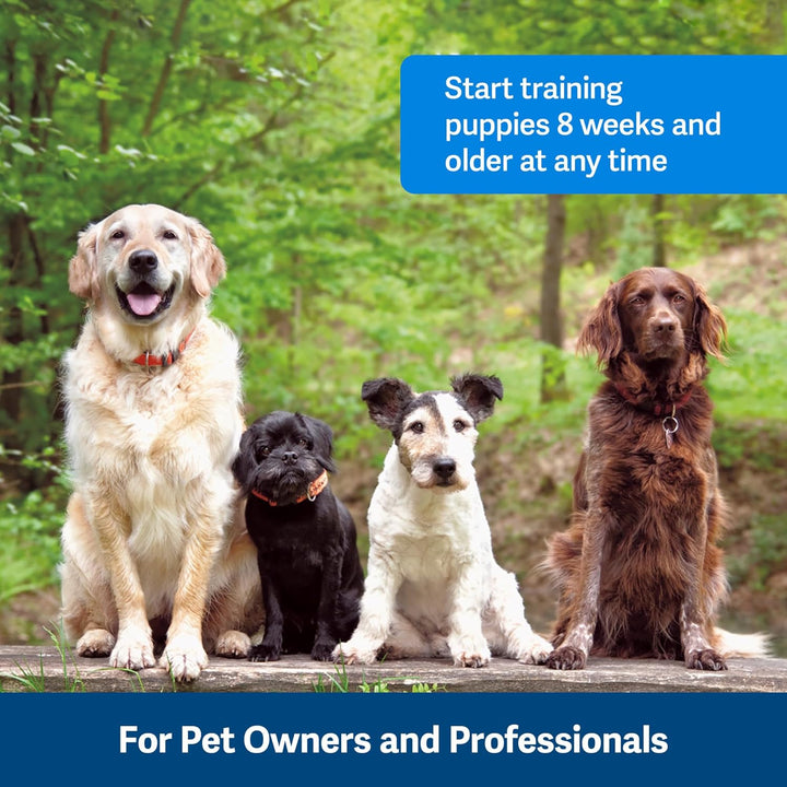 Clik-R Training Tool - Positive Behavior Reinforcement - Ergonomic Design - Compact Finger Band - Daily Training Accessory - Clicker for Dogs & Cats - Purple