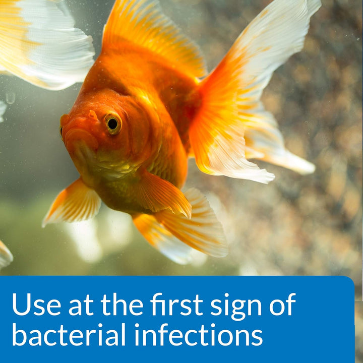 FIN & BODY CURE Freshwater Fish Powder Medication 10-Count Box