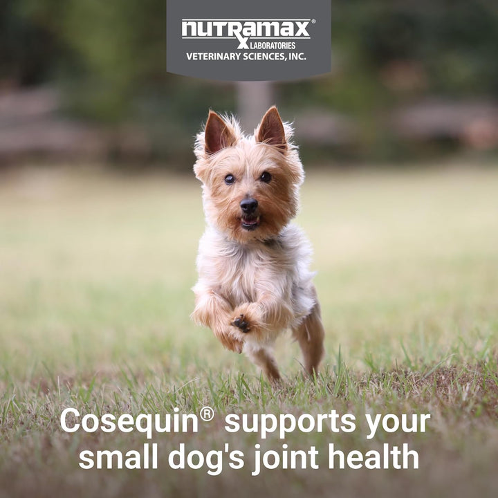 Nutramax Cosequin for Small Dogs, Joint Health Supplement, Contains Glucosamines, Chondroitin, MSM and Omega-3S, Supports Joint and Skin and Coat Health, Soft Chews, 45 Count