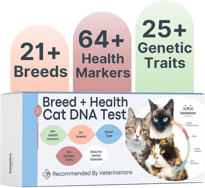 Dog DNA Testing Kit - 300+ Breeds, 280+ Health Risks, and 30+ Traits - Comprehensive Mixed Breed Identification, Pet DNA Test Kit, Canine Genetic Ancestry and Heritage