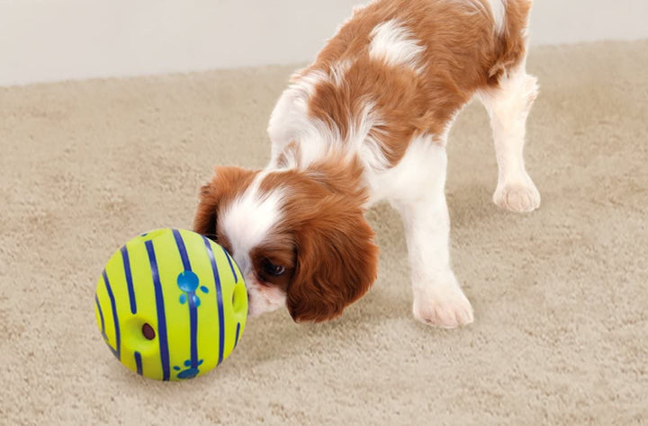 Ball | Rolling Enrichment Toy for Fun Playtime, Interactive Play for Indoor or Outdoor, Keeps Dogs & Puppies Large, Medium or Small Busy & Moving, as Seen on TV | Pack of 1
