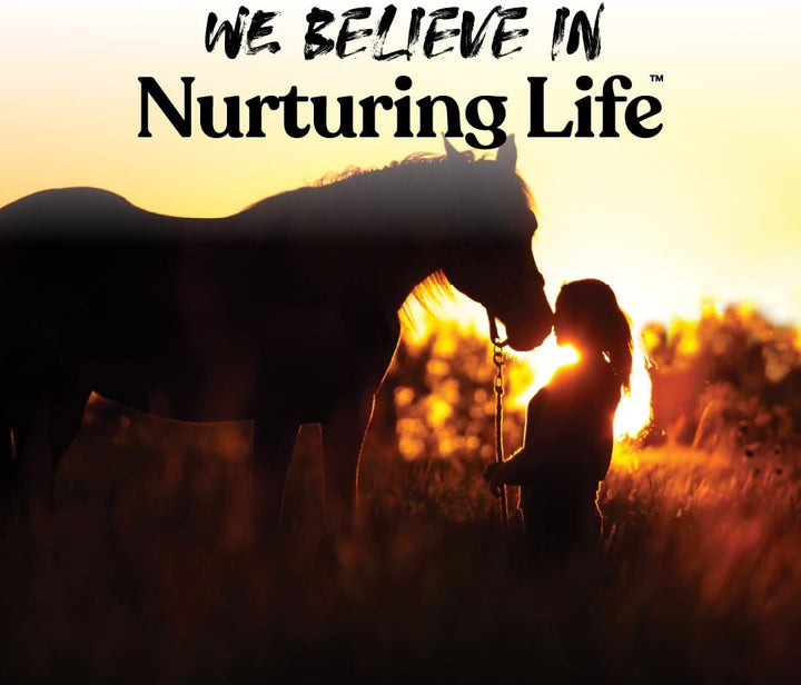 Bite-Size Nuggets for Horses - Pocket Sized Training Horse Treats - Apple Flavored Treats - Packs with Vitamins & Minerals- Great Taste Guaranteed - 4Lbs