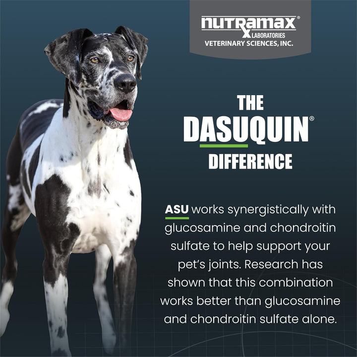 Dasuquin Joint Health Supplement for Large Dogs - with Glucosamine, Chondroitin, ASU, Boswellia Serrata Extract, and Green Tea Extract, 84 Soft Chews, DASL84SC