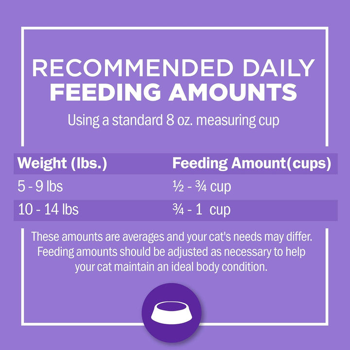 Gentle Sensitive Stomach and Skin Dry Cat Food with Turkey - 13 Lb. Bag