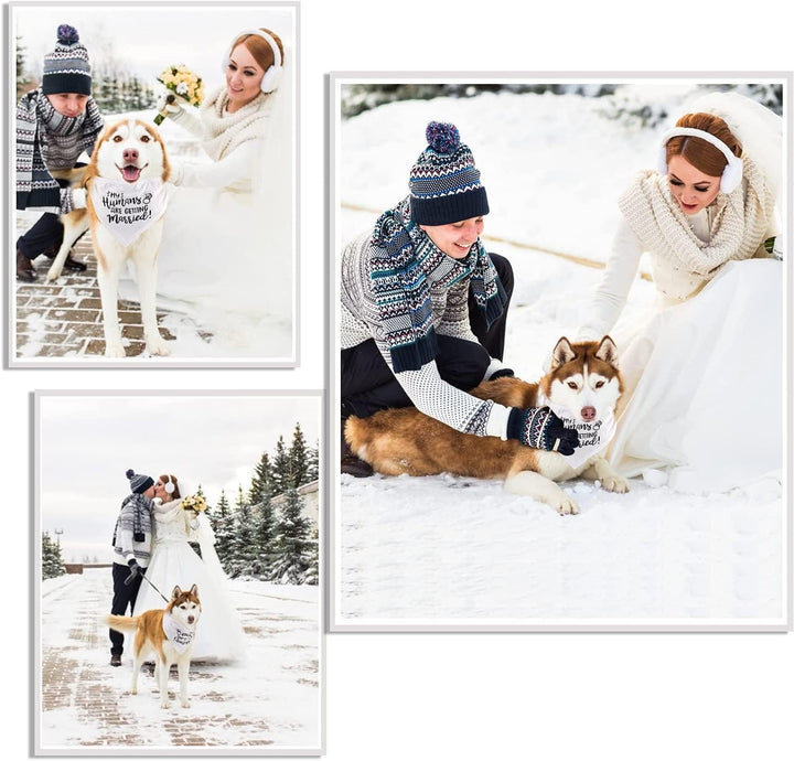 Engagement Gift, My Humans Are Getting Married Dog Bandana, Wedding Photo Prop, Pet Scarf, Dog Engagement Announcement, Pet Accessories (Black)