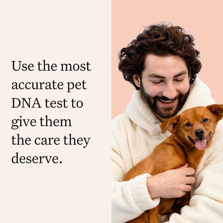 Panel Premium Dog DNA Kit: Most Comprehensive with 265+ Health Tests, Identify 365+ Dog Breeds, 50+ Traits, Relatives, Ancestry, Genetic Diversity - Pack of 1
