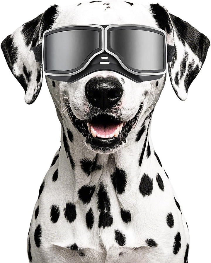 Dog Sunglasses Medium to Large Dog UV Transparent Goggles Windproof Anti-Dust Snowproof Pet Glasses with Elastic Straps, Clear