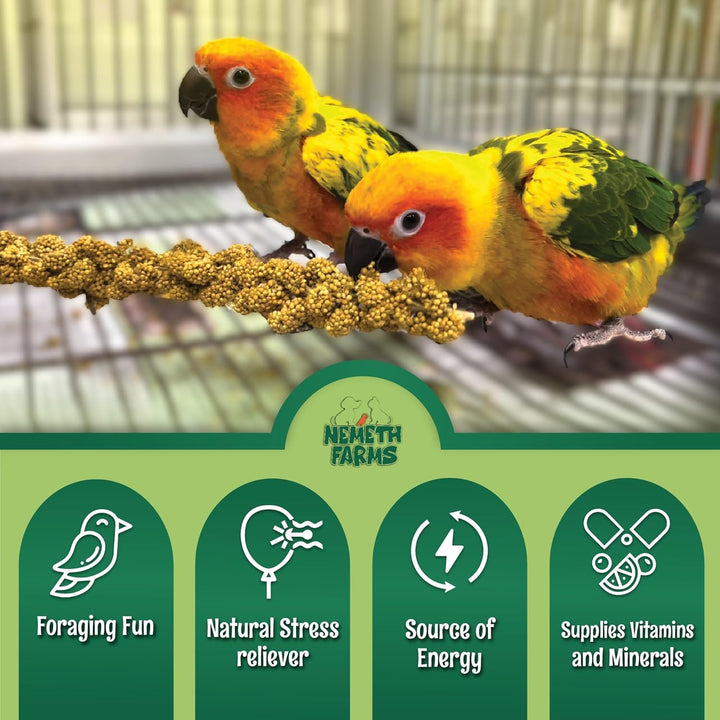 Premium Non-Gmo Spray Millet Treat | Hand-Harvested Bird Snack | 100% Edible Tops | Sun-Dried Supplement for Parakeets, Cockatiels, Finches, Lovebirds, Canaries