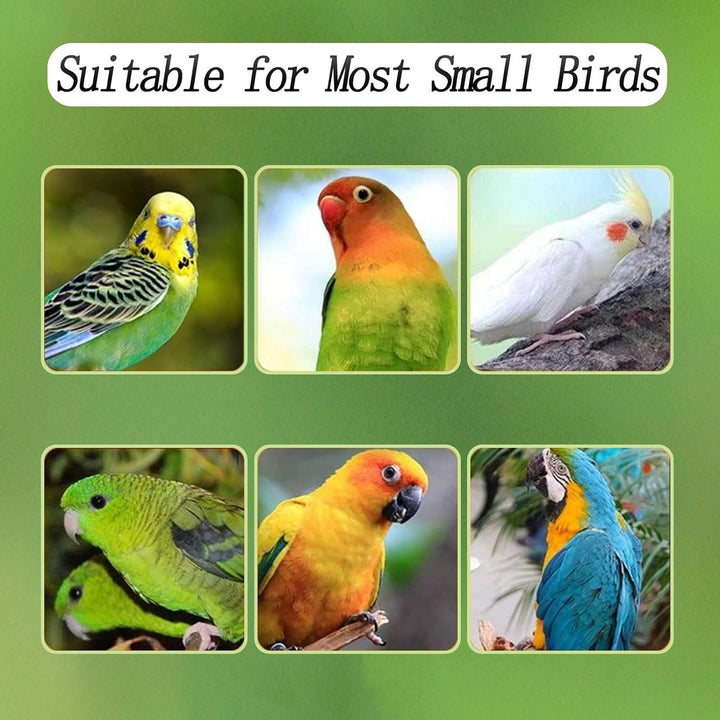 No Mess Bird Feeder for Cage, Automatic Acrylic Bird Feeder Seed Catcher Tray Cage with Stainless Steel Hooks for Small Parrots Canary Parakeet Budgerigar Crested Cockatiel Lovebird (Small)