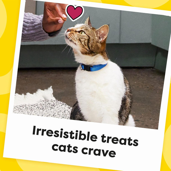 Classic Crunchy and Soft Cat Treats, Savory Salmon Flavor, 30 Oz. Tub