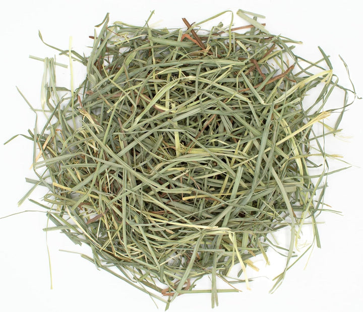 Animal Health Orchard Grass, Guinea Pig Hay, Rabbit Hay, Small Pet Bunny Supplies, All Natural Grass for Guinea Pig, Bunny, Chinchilla & Hamster,  Rabbit Supplies for Bunnies, 9 Lb. Box