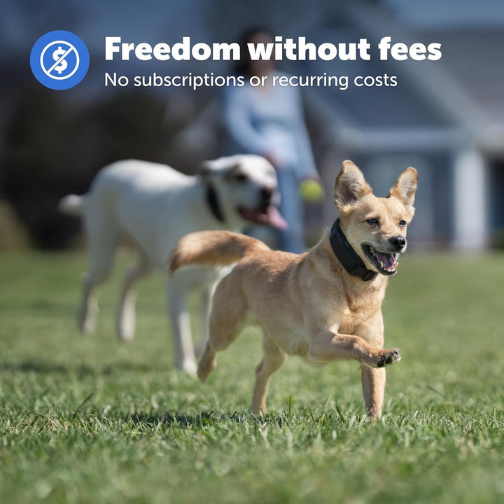 Guardian GPS Dog Fence – No Subscription – Create Your Own Wireless Fence for Dogs – for Yards 3/4 Acres or Larger – World'S Safest GPS Dog Fence Tech – New, Redesigned Collar