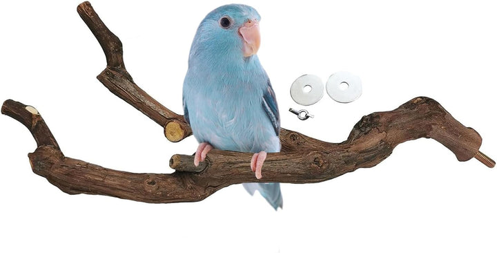 Natural Parrot Perch Bird Stand Pole Wild Grape Stick Paw Grinding Fork Parakeet Climbing Standing Branches Toy Chewable Cage Accessories for Small Budgies Cockatiels Lovebirds 3PCS