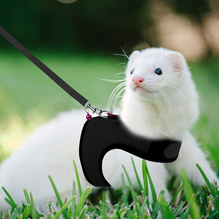 Animal Harness and Leash - Soft Mesh Pet Harness with Safe Bell, No Pull Comfort Padded Vest for Small Pet Black S