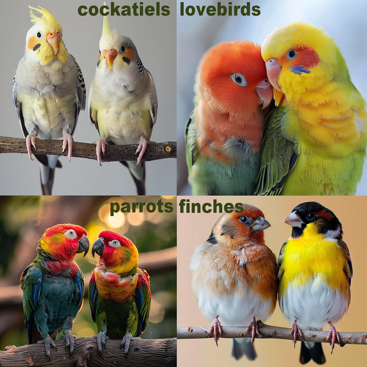 Bird Toys for Parakeets 7Pcs, Wood Parrots Budgie Cage Accessories, Bird Perch Swings for Small Conure Cockatiel Toys, Bird Ladder Swing for Parakeets Climbing 18''