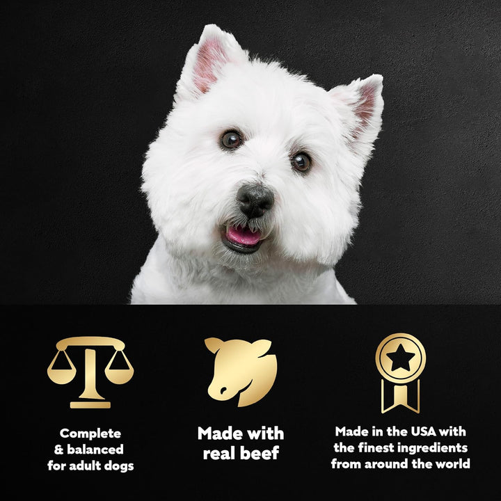 Filets in Gravy Adult Wet Dog Food, Filet Mignon and New York Strip Flavors Variety Pack, 3.5 Oz. (12 Count, Pack of 1)