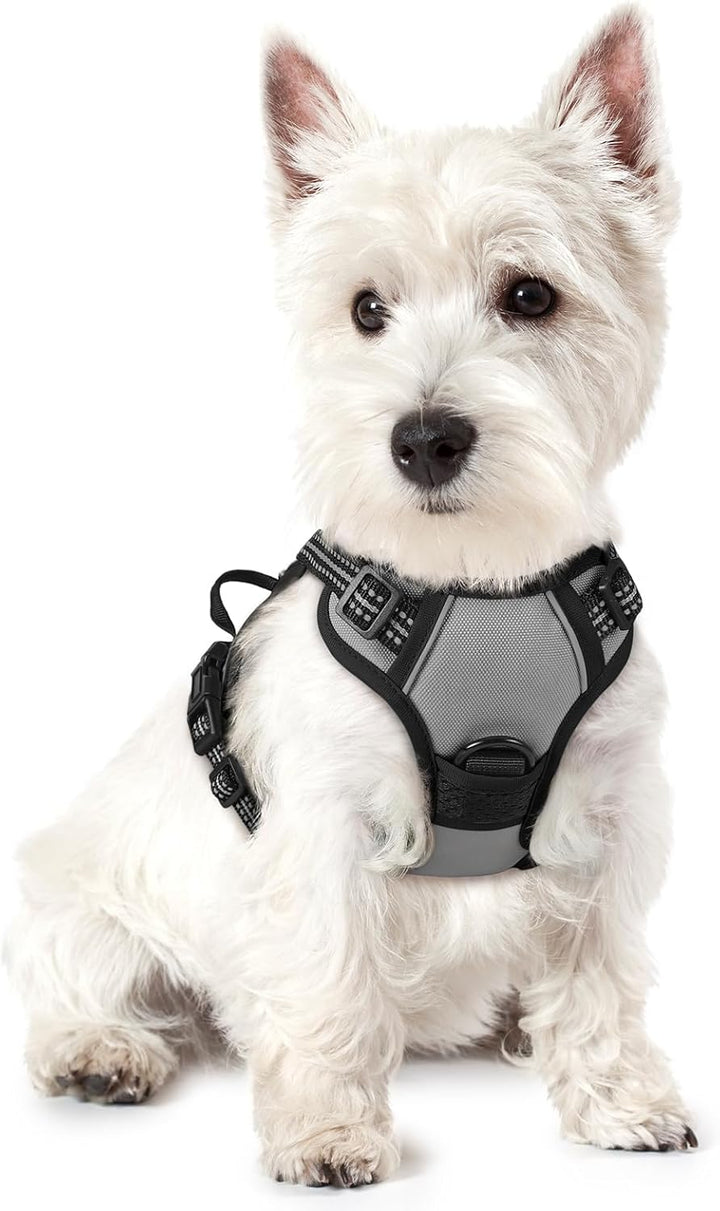 Dog Harness No Pull with 2 Leash Clips, Adjustable Soft Padded, Reflective Oxford No Choke Pet Vest with Easy Control Handle for Large Dogs, Black, L