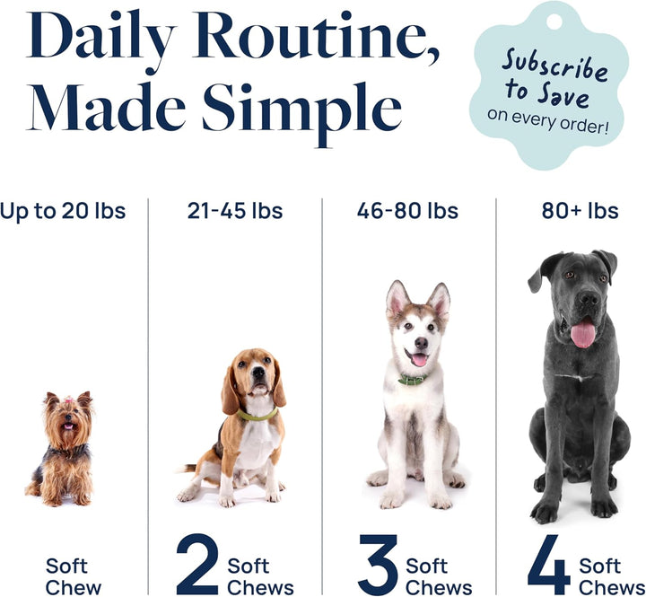 Anal Gland Support for Dogs – Vet-Formulated No Scoot Chews with Pumpkin, Ginger, Agave Inulin & Probiotics – Supports Scooting, Stool Quality & Digestive Health, 60 Soft Chews