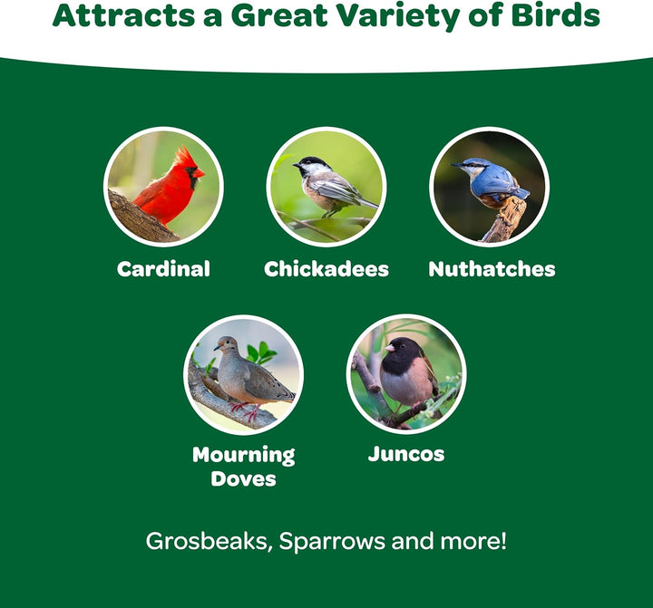 Wild Bird Food Basic Seed Blend, 5 Lb