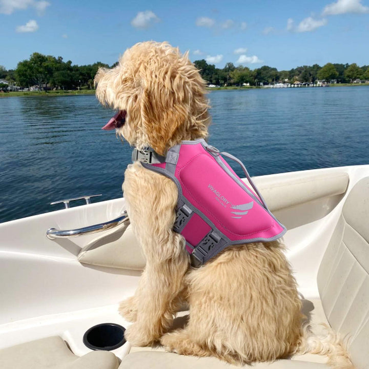 High Buoyancy Dog Life Vest, Swimming Vest with Handle, Dog Life Jacket for Swimming & Boating, Buoyancy for Puppy Doggy, S, Pink