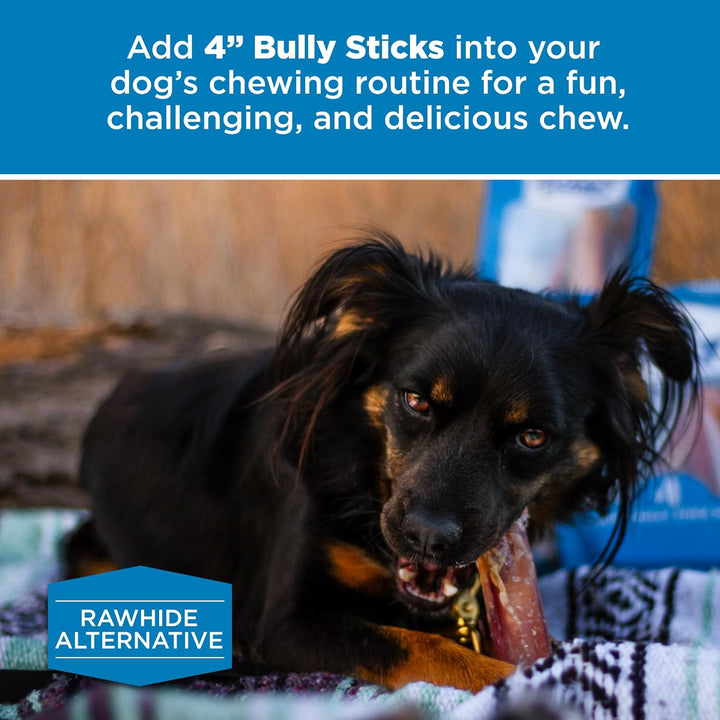 4 Inch Bully Sticks - 8 Oz (Pack of 1) - Natural Grass-Fed, Grain and Rawhide Free, Ideal for Small or Young Canines
