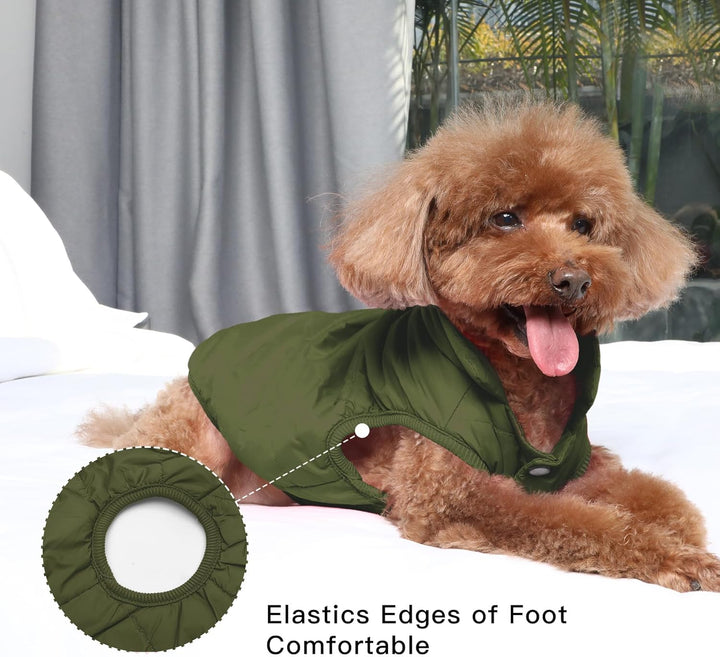 2 Layers Fleece Lined Warm Dog Jacket for Puppy Winter Cold Weather,Soft Windproof Small Dog Coat,Green S