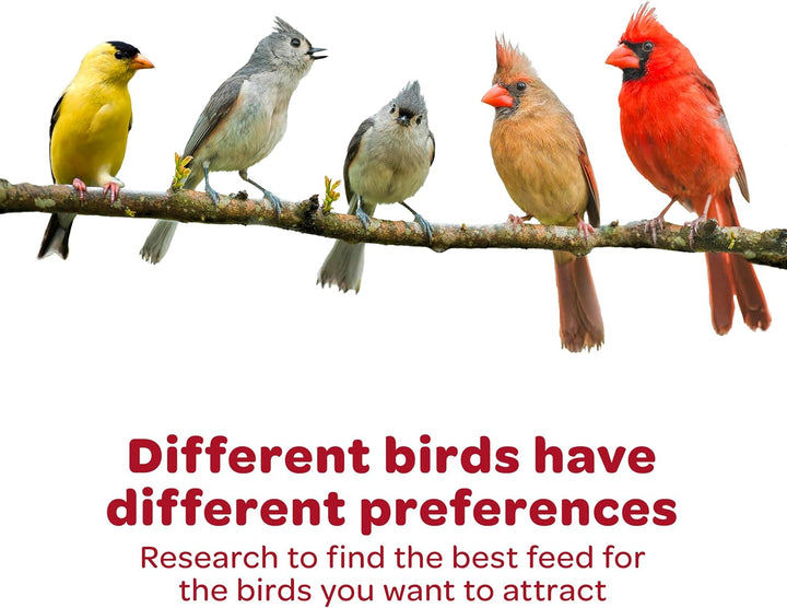 All American Wild Bird Food Seed Blend, 5 Pound