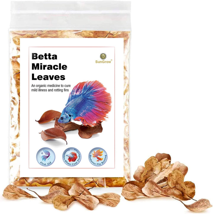 50 Pcs Catappa Indian Almond Leaves for Betta Fish Tank Aquarium, 2” Water Conditioner Leaves, Leaf Also Suitable for Shrimp, Goldfish, Guppy and Frogs