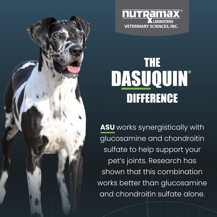 Dasuquin with MSM Soft Chews, Large Dog, 150 Count, Brown