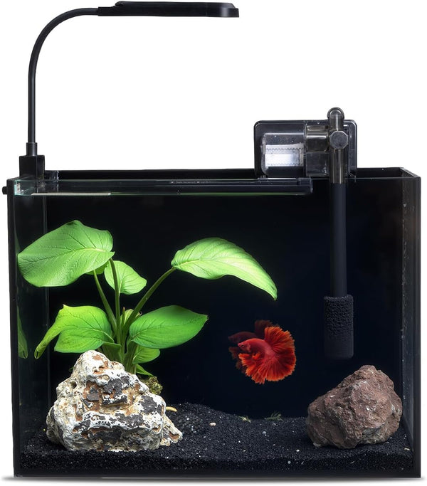 2.5 Gallon Glass Small Fish Tank Kit, Betta Fish Tank Aquarium Starter Kit with Filter, Lights, Lid, for Betta, Goldfish, Small Fish or Shrimp