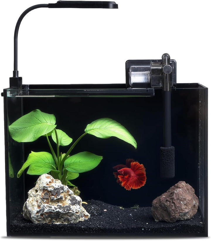 2.5 Gallon Glass Small Fish Tank Kit, Betta Fish Tank Aquarium Starter Kit with Filter, Lights, Lid, for Betta, Goldfish, Small Fish or Shrimp