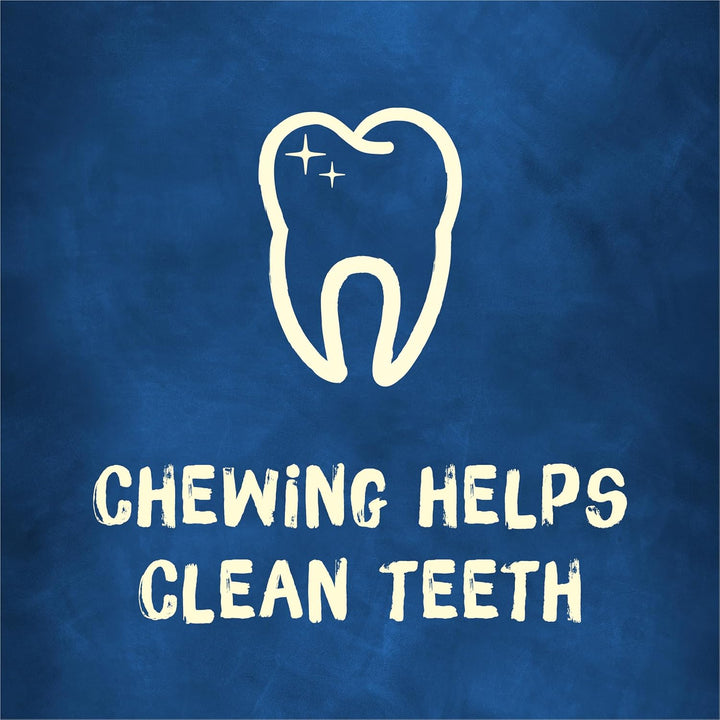 Bone Adult Dog Chew Bone Treats, Original - 10 Ct. Pouch