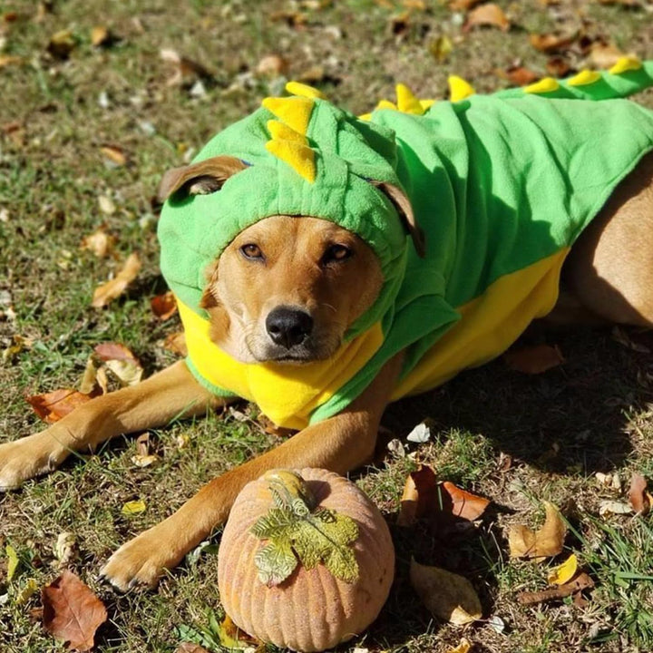 Funny Halloween Large Dog Dinosaur Costume Outfits,Dog Pajamas Hoodie Winter Warm Pet Clothes Coat for Golden Retriever Pitbull(Green, 7XL)